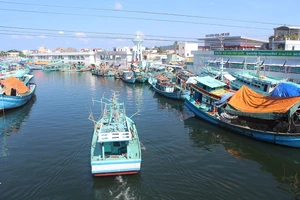 Tàu lưới cá thu và tàu câu mực ở đảo Thổ Chu (Kiên Giang).