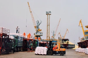 Bốc dỡ hàng hóa tại cảng Chùa Vẽ, Hải Phòng. Ảnh: NAM ANH