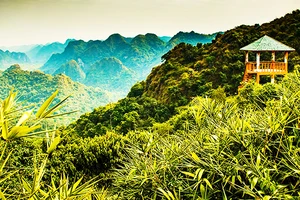 Vườn quốc gia Cát Bà sắp triển khai ba tuyến du lịch sinh thái mới.