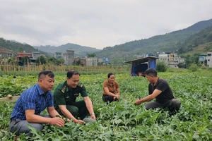 Đại tá Mê Văn Đạt (thứ 2, bên trái) nguyên Bí thư Đảng ủy, Chủ tịch UBND xã Đàm Thủy, người đã có nhiều đóng góp giúp địa phương xây dựng nông thôn mới.