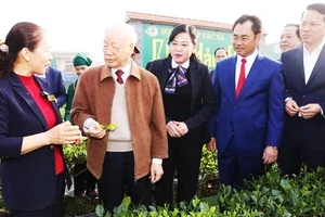 Tổng Bí thư Nguyễn Phú Trọng và đoàn công tác thăm HTX chè Hảo Đạt tháng 1/2023.