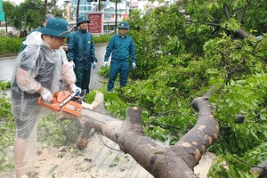 Khắc phục hậu quả sau bão tại phường Quan Hoa (Cầu Giấy, Hà Nội). Ảnh: MINH NAM