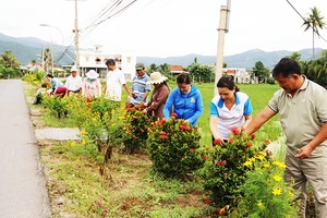 Hấp dẫn thôn Hải Triều