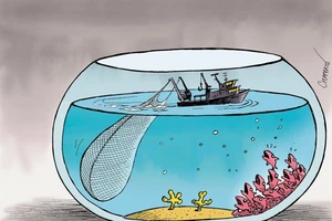 Biếm họa: CHAPPATTE