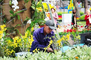 Trang trí, chuẩn bị cho Hội hoa xuân năm 2025.