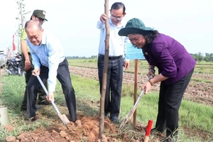 Lãnh đạo tỉnh Bến Tre trồng cây tại các tuyến đường trên địa bàn huyện Ba Tri.