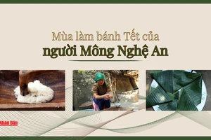 Mùa làm bánh Tết của người Mông Nghệ An