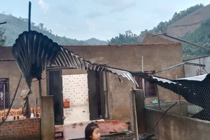 Một nhà dân ở huyện Văn Bàn (Lào Cai) bị tốc mái và gãy đổ vì dông lốc hồi tháng 4/2024.