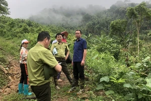 Ban Dân tộc, Hội đồng nhân dân tỉnh Bắc Kạn cùng lực lượng kiểm lâm khảo sát tại hiện trường vụ việc. (Ảnh: VĂN NHÂN)