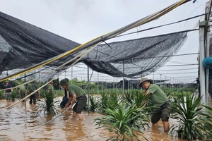 Đoàn thanh niên Công an tỉnh Hưng Yên đã huy động lực lượng đoàn viên thanh niên hỗ trợ người dân trên địa bàn xã Xuân Quan, huyện Văn Giang, tỉnh Hưng Yên di chuyển tài sản, cây cảnh, nhằm giảm thiểu thiệt hại do bão số 3 gây ra. 