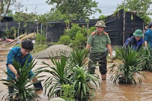 Lũ trên vùng đất bãi ngoài đê sông Hồng trên địa bàn huyện Văn Giang tỉnh Hưng Yên.