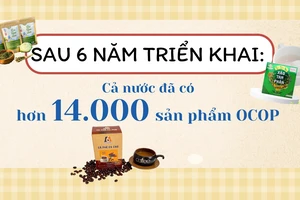 [Infographic] 6 năm triển khai, cả nước có hơn 14.000 sản phẩm OCOP