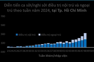 Diễn tiến bệnh tình hình dịch bệnh sởi tại Thành phố Hồ Chí Minh tính đến tuần 48.