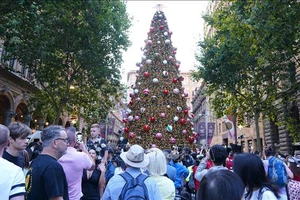 Quảng trường Martin Place (Sydney, Australia), nơi đặt cây thông Giáng sinh lớn, được trang trí với ánh đèn và phụ kiện lấp lánh. (Ảnh: Lê Đạt/PV TTXVN tại Australia)