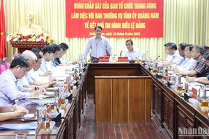 Phó Trưởng Ban Tổ chức Trung ương Phan Thăng An phát biểu tại buổi làm việc.