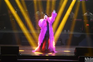 Ca sĩ Tùng Dương trong live concert "Người đàn ông hát", đêm thứ 2 tại Nhà hát Trưng Vương, Đà Nẵng. (Ảnh: ANH ĐÀO)