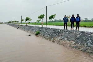 Kênh mương được khơi thông bảo đảm chống úng cho lúa và hoa màu.