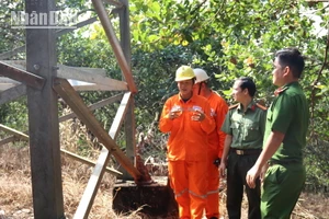 Nhân viên Công ty Điện lực Đồng Nai phối hợp với lực lượng Công an tỉnh Đồng Nai kiểm tra đường dây 110kV.