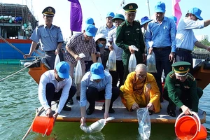 Đại diện lãnh đạo tỉnh Quảng Bình và các đại biểu thả các loại giống thủy sản xuống sông Nhật Lệ. (Ảnh: HƯƠNG GIANG)