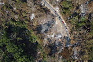 Quang cảnh một khu rừng bị cháy sau trận cháy rừng ở Công viên quốc gia Henri Pittier, Maracay, Venezuela, ngày 30/3/2024. (Ảnh: Reuters)