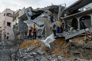 Chim bồ câu bay qua đống đổ nát của những ngôi nhà bị phá hủy trong các cuộc không kích của Israel, ở Khan Younis, phía nam dải Gaza, ngày 11/10/2023. (Ảnh: Reuters)