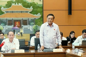 Đại biểu Lê Kim Toàn (Bình Định) phát biểu. (Ảnh: TRUNG HƯNG)