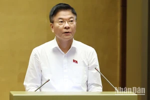 Phó Thủ tướng Chính phủ Lê Thành Long trình bày Tờ trình. (Ảnh: DUY LINH) 