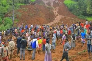 Bức ảnh được EBC chia sẻ trên Facebook cho thấy nhiều người đang tìm kiếm nạn nhân bị vùi lấp do lở đất trên sườn đồi trống ở Gofa, miền nam Ethiopia. (Ảnh: Facebook EBC) 