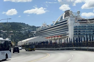 Tàu du lịch Grand Princess neo đậu tại cảng Wellington, New Zealand. (Ảnh minh họa: Reuters) 