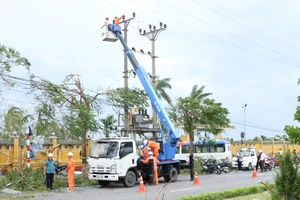 Ngành điện lực Hải Phòng khẩn trương khắc phục các sự cố để cấp điện trở lại cho khách hàng, sáng 8/9. (Ảnh: EVN) 