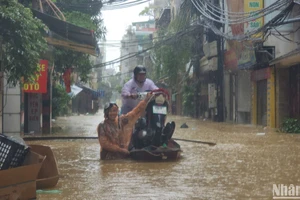 Mực nước sông Hồng dâng cao, người dân thuộc các phường Chương Dương, Phúc Tân (Hoàn Kiếm, Hà Nội) nhanh chóng di chuyển đồ đạc đến nơi an toàn. (Ảnh: SƠN BÁCH)