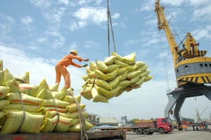 Xuất khẩu gạo tăng cao về giá trị.