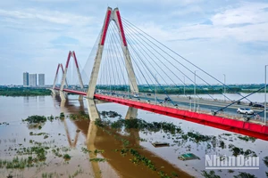 [Ảnh] Mực nước sông Hồng giảm, vùng đào lớn nhất Thủ đô vẫn chìm trong biển nước