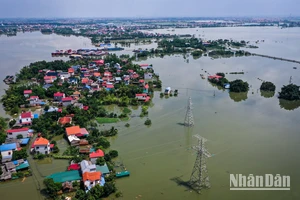 [Video] Nước lũ rút chậm, thôn nhỏ ven sông Cầu vẫn bị cô lập sau bão