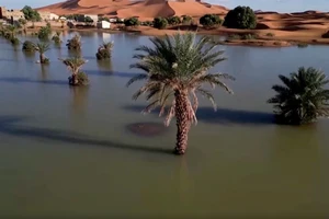 [Video] Kỳ lạ cảnh sa mạc Sahara ngập lụt sau nhiều thập kỷ