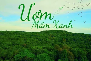 Poster quảng cáo MV "Ươm mầm xanh" và dự án cùng tên.