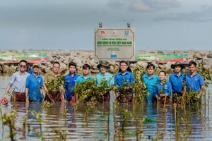 Ngày 8/11, Ban tổ chức Giải thưởng Hành động vì cộng đồng 2024 (Human Act Prize) đã công bố danh sách 32 dự án xuất sắc nhất sẽ vào Vòng chung khảo.