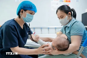 Bác sĩ khám cho bệnh nhi gần 2 tháng tuổi mắc ho gà đang điều trị tại Trung tâm bệnh Nhiệt đới (Bệnh viện Nhi Trung ương). (Ảnh: Minh Quyết/TTXVN)