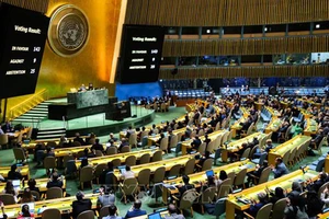 Toàn cảnh phiên bỏ phiếu của Đại hội đồng LHQ thông qua Nghị quyết ủng hộ tư cách thành viên đầy đủ của Palestine, tại New York (Mỹ) ngày 10/5/2024. Ảnh: AFP/TTXVN