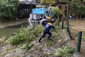 Công nhân Công ty Thoát nước Hà Nội thu dọn cành cây gãy đổ, bảo đảm thoát nước.