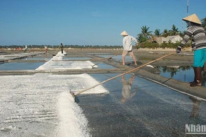 Nghề làm muối Sa Huỳnh được công nhận Di sản văn hóa phi vật thể quốc gia.