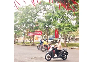 Một tuyến đường rợp bóng cây xanh ở quận Phú Nhuận.