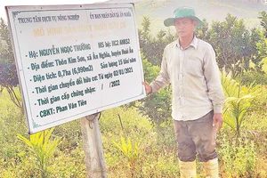Anh Nguyễn Ngọc Thường đã làm thay đổi vùng đất này với mô hình sản xuất nông nghiệp hữu cơ.