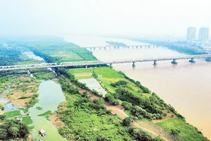 Khu vực bãi giữa sông Hồng nằm trong nội đô Hà Nội. (Ảnh KHIẾU MINH)