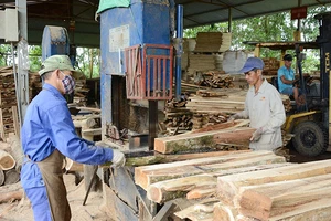 Sản xuất dăm gỗ xuất khẩu tại Công ty cổ phần Tavico (Đồng Nai).
