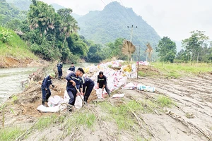 Việc thu gom bùn thải ở nhiều vị trí thực hiện bằng phương pháp thủ công cho nên tiến độ chậm.