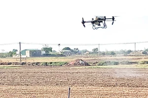 Sử dụng thiết bị bay không người lái (drone) để phun thuốc bảo vệ thực vật trong sản xuất nông nghiệp ở Hải Dương. (Ảnh BẢO HÂN)