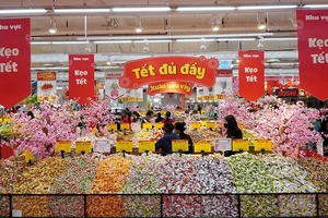 Các siêu thị ở Nghệ An tràn ngập hàng hóa phục vụ Tết Giáp Thìn 2024.