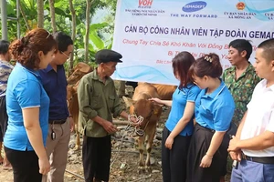 Các hộ gia đình đặc biệt khó khăn tại xã Mông Ân, huyện Bảo Lâm, tỉnh Cao Bằng nhận bò giống tái sản xuất sau thiên tai do Tập đoàn Gemadept trao tặng.