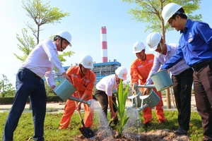 Công ty luôn chú trọng công tác bảo vệ môi trường, tạo mảng xanh trong khuôn viên nhà máy.